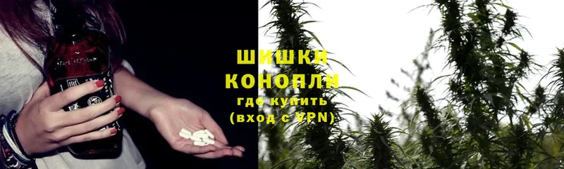 kraken tor  Княгинино  Шишки марихуана OG Kush 